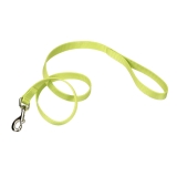Coastal Single-Ply Dog Leash 5/8"-Lime