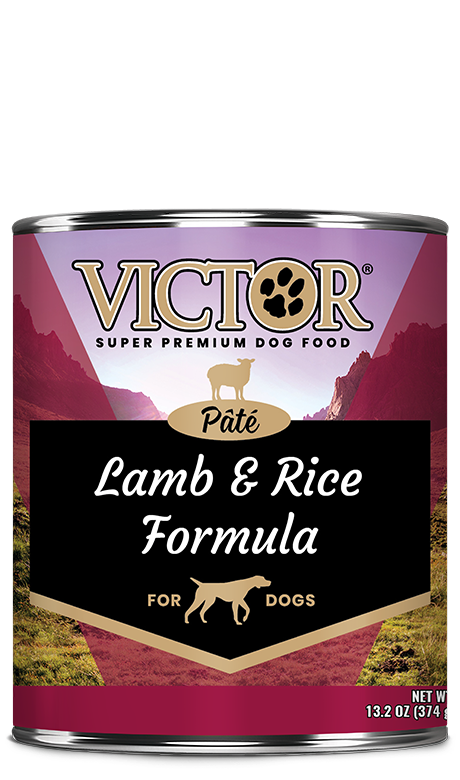 VICTOR Lamb and Rice Formula Pâté for Dogs