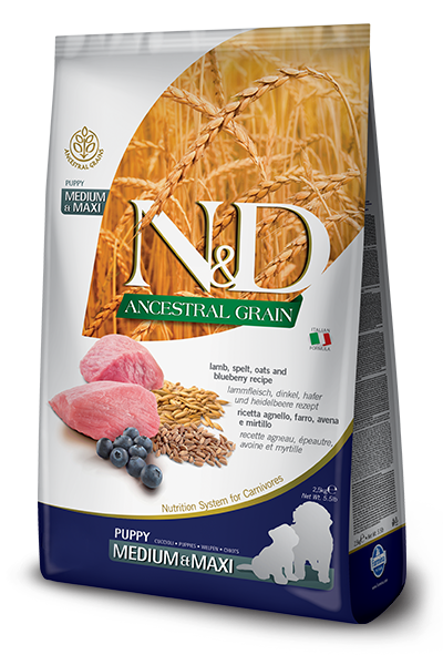 Farmina N&D Ancestral Grain Canine Lamb & Blueberry Puppy Medium & Maxi