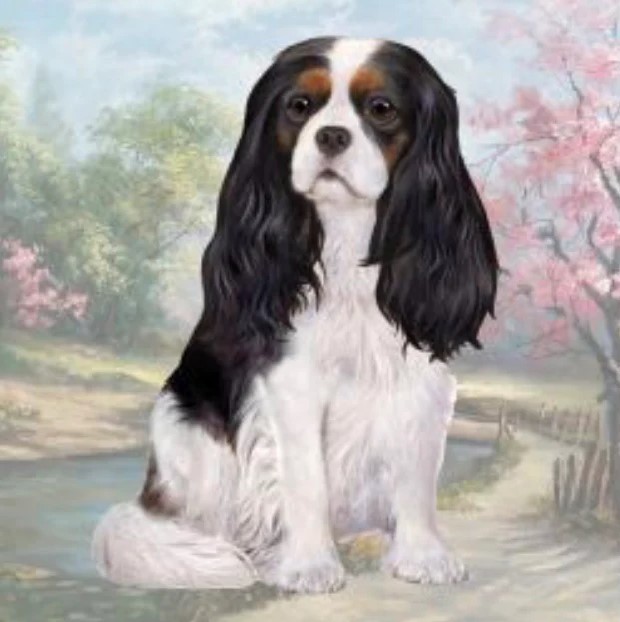 E&S Stone Coaster-Cavalier King Charles Tricolor