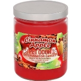 Pet Odor Exterminator Cinnamon Apple Deodorizing Candle
