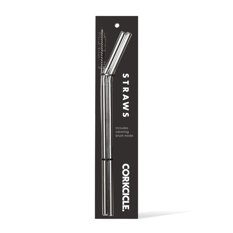 Corkcicle Straws Silver