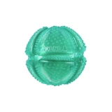 KONG Dental Squeezz Ball