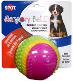 SPOT Sensory Ball for Dogs