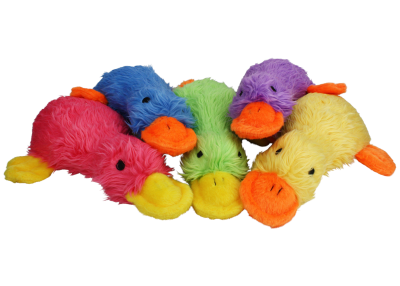 Duckworth Plush Dog Toy