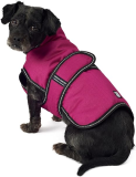 PetRageous Juneau Coat for Dogs-Magenta