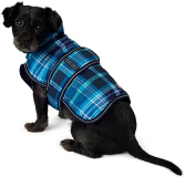 PetRageous Kodiak Coat with Poly Cotton Lining for Dogs-Teal Plaid