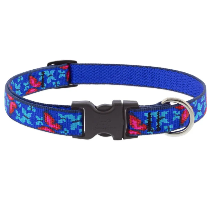 Lupine Pet Original Designs Adjustable Dog Collar-Social Butterfly