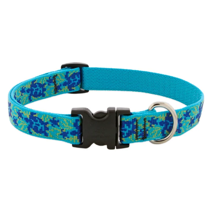 Lupine Pet Original Designs Adjustable Dog Collar-Turtle Reef