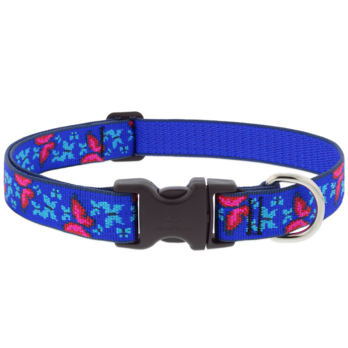 Lupine Pet Original Designs Adjustable Dog Collar-Social Butterfly