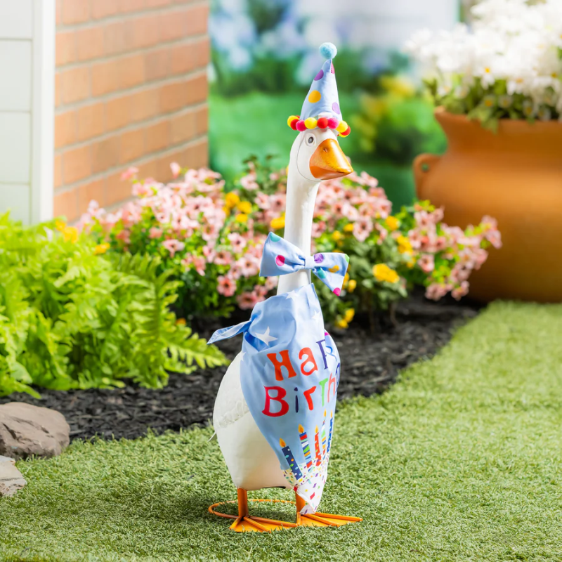 Evergreen Porch Goose Outfit-Birthday Boy