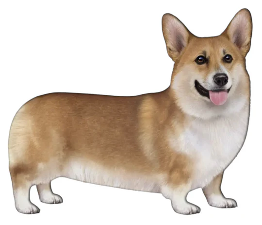 E&S Pet Vinyl Sticker-Welsh Corgi
