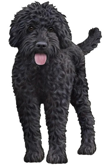 E&S Pet Vinyl Sticker-Labradoodle Black