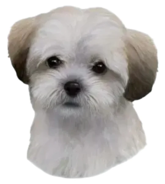 E&S Pet Vinyl Sticker-Shihpoo