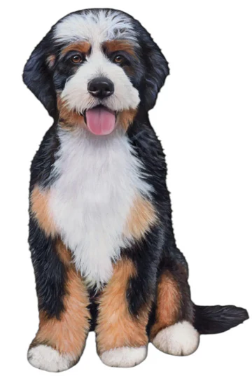 E&S Pet Vinyl Sticker-Bernedoodle