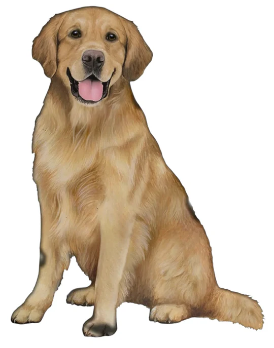 E&S Pet Vinyl Sticker-Golden Retriever Sitting