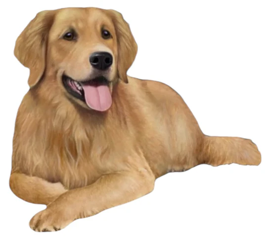 E&S Pet Vinyl Sticker-Golden Retriever Lying