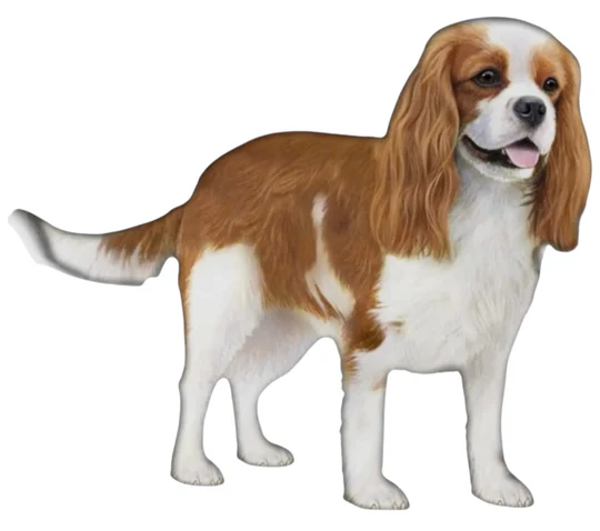 E&S Pet Vinyl Sticker-Cavalier King Charles Spaniel