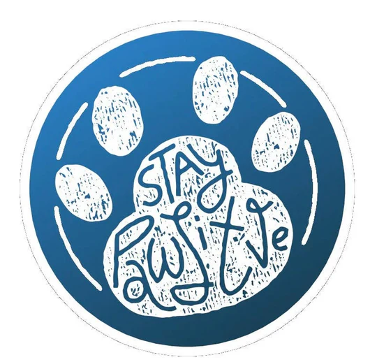 E&S Pet-Themed Vinyl Sticker-Stay Pawsitive