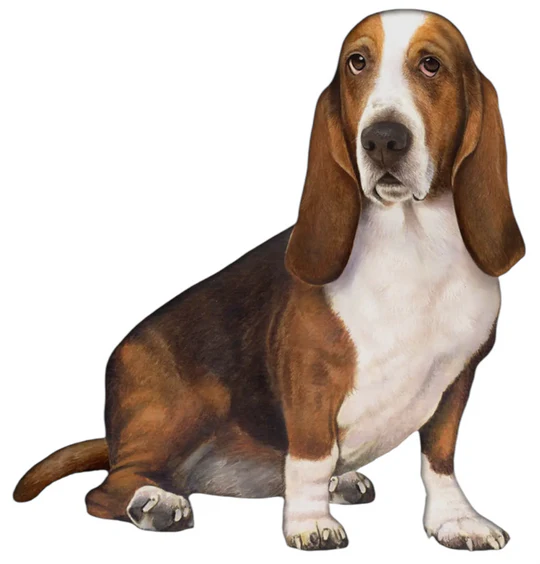 E&S Pet Vinyl Sticker-Basset Hound