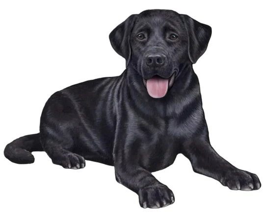 E&S Pet Vinyl Sticker-Labrador Black Lying