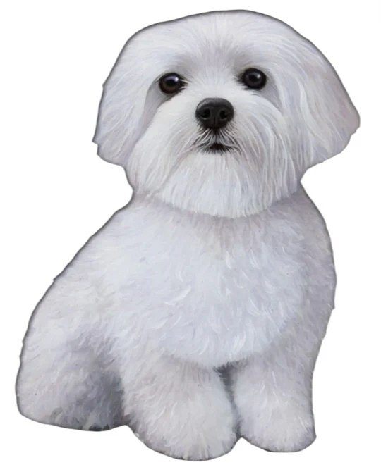E&S Pet Vinyl Sticker-Maltese