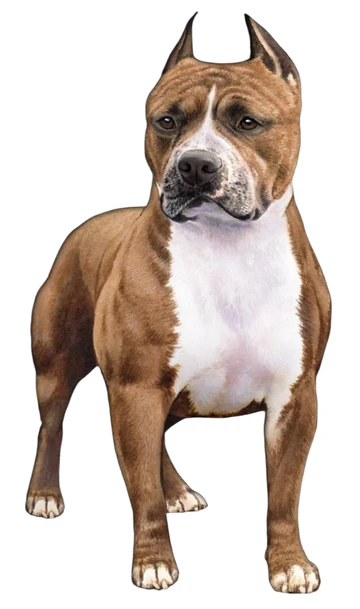 E&S Pet Vinyl Sticker-Pit Bull