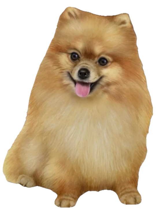 E&S Pet Vinyl Sticker-Pomeranian