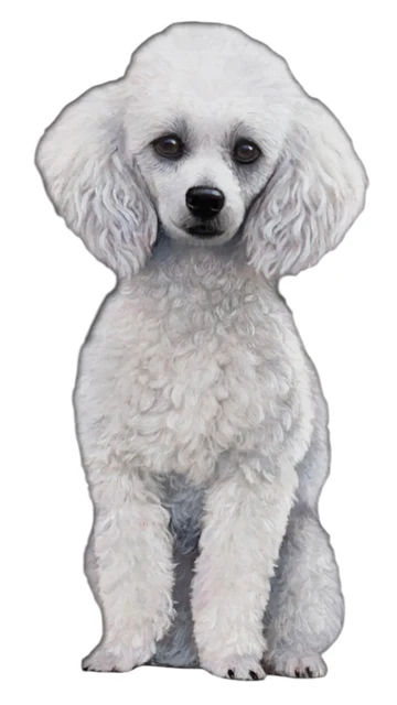 E&S Pet Vinyl Sticker-Poodle