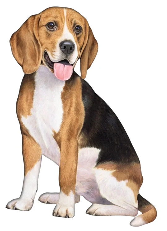 E&S Pet Vinyl Sticker-Beagle