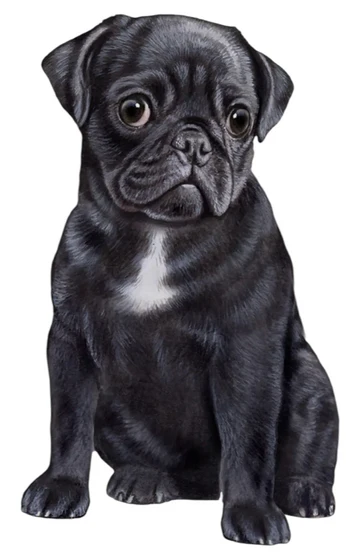 E&S Pet Vinyl Sticker-Pug Black