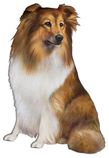 E&S Pet Vinyl Sticker-Sheltie