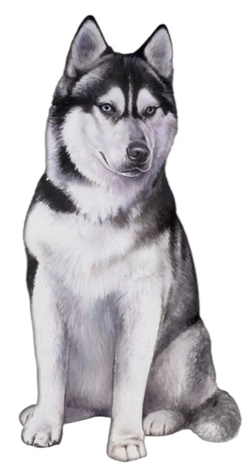 E&S Pet Vinyl Sticker-Siberian Husky