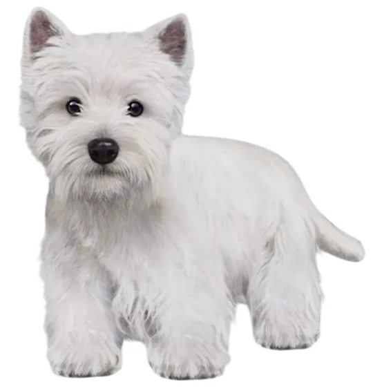 E&S Pet Vinyl Sticker-Westie
