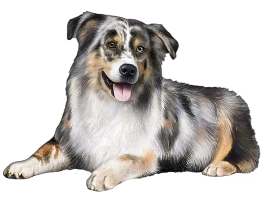 E&S Pet Vinyl Sticker-Australian Shepherd