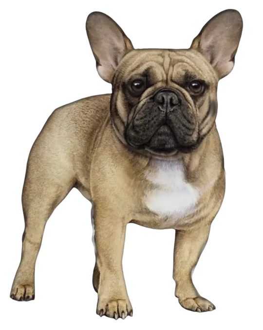 E&S Pet Vinyl Sticker-French Bulldog Fawn