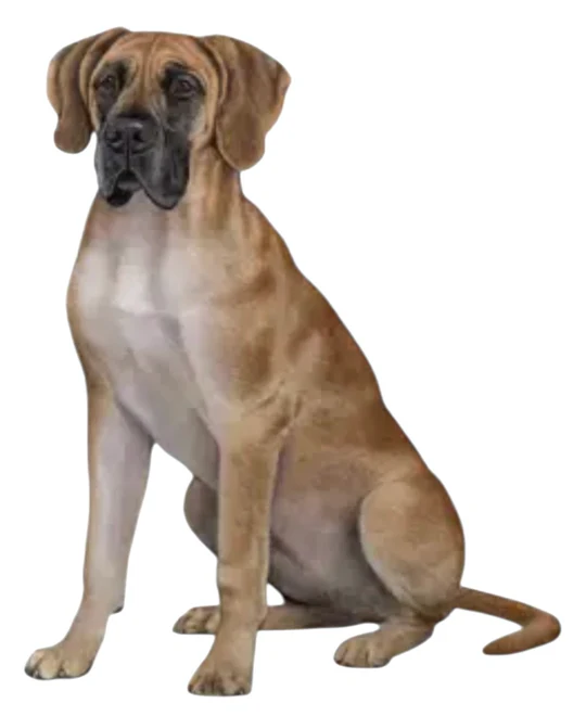 E&S Pet Vinyl Sticker-Great Dane