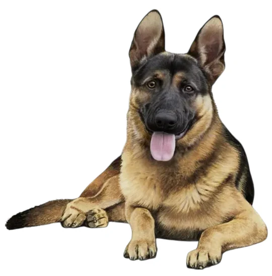 E&S Pet Vinyl Sticker-German Shepherd