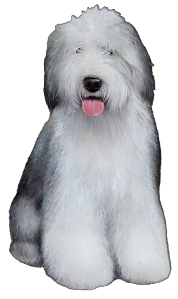 E&S Pet Vinyl Sticker-Old English Sheepdog