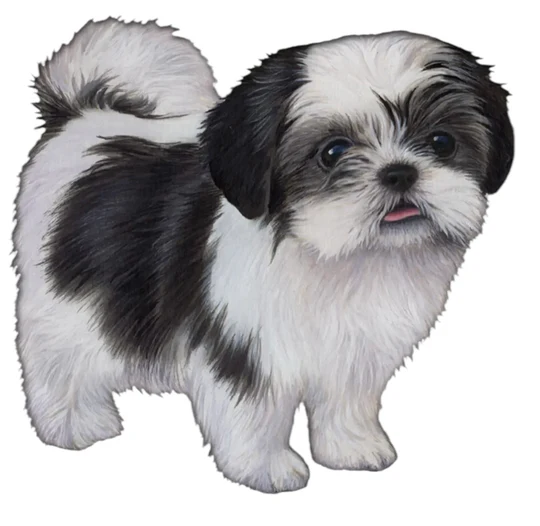 E&S Pet Vinyl Sticker-Shih Tzu Black and White