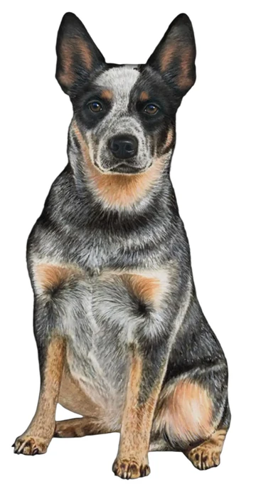 E&S Pet Vinyl Sticker-Australian Cattle Dog Blue