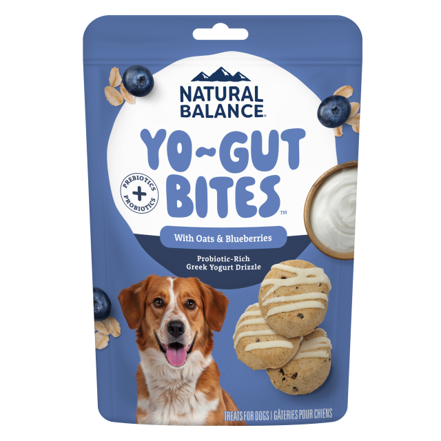Natural Balance Yo-Gut Bites with Oats & Blueberries Dog Treat