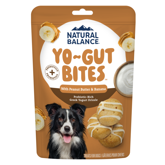 Natural Balance Yo-Gut Bites with Peanut Butter & Banana Dog Treat