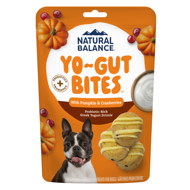 Natural Balance Yo-Gut Bites with Pumpkin & Cranberries Dog Treat