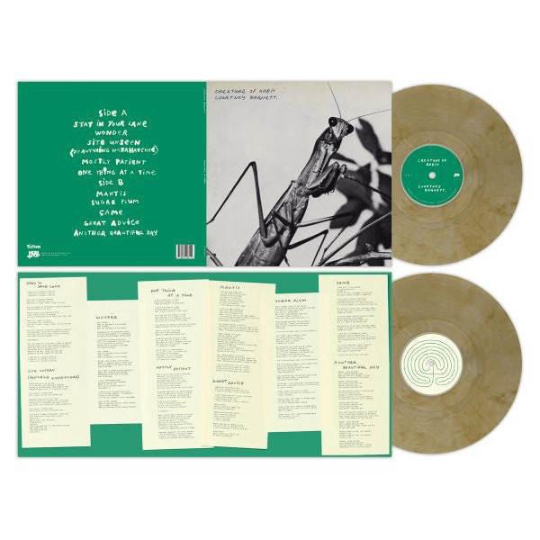 Courtney Barnett/Creature of Habit (Caramel Vinyl)