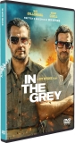 In the Grey (2026)/Jake Gyllenhaal, Henry Cavill, and Eiza Gonzalez@R@DVD