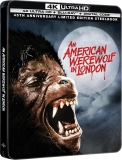 American Werewolf In London/Naughton/Dunne/Agutter@4K-UHD STEELBOOK