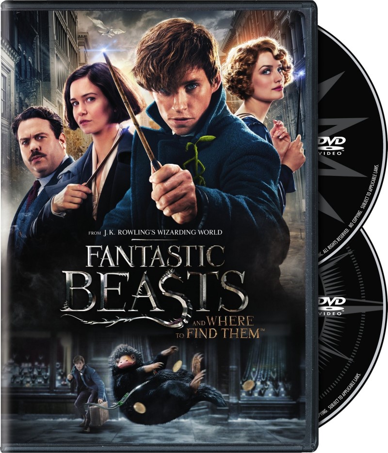 Fantastic Beasts and Where to Find Them (2016)/Eddie Redmayne, Katherine Waterson, and Dan Fogler@PG-13@DVD