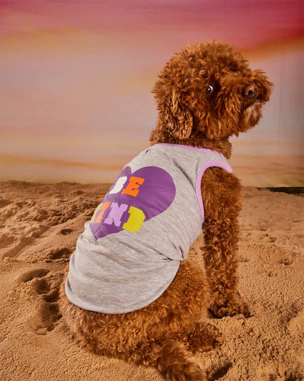 Hotel Doggy - Dog Shirt