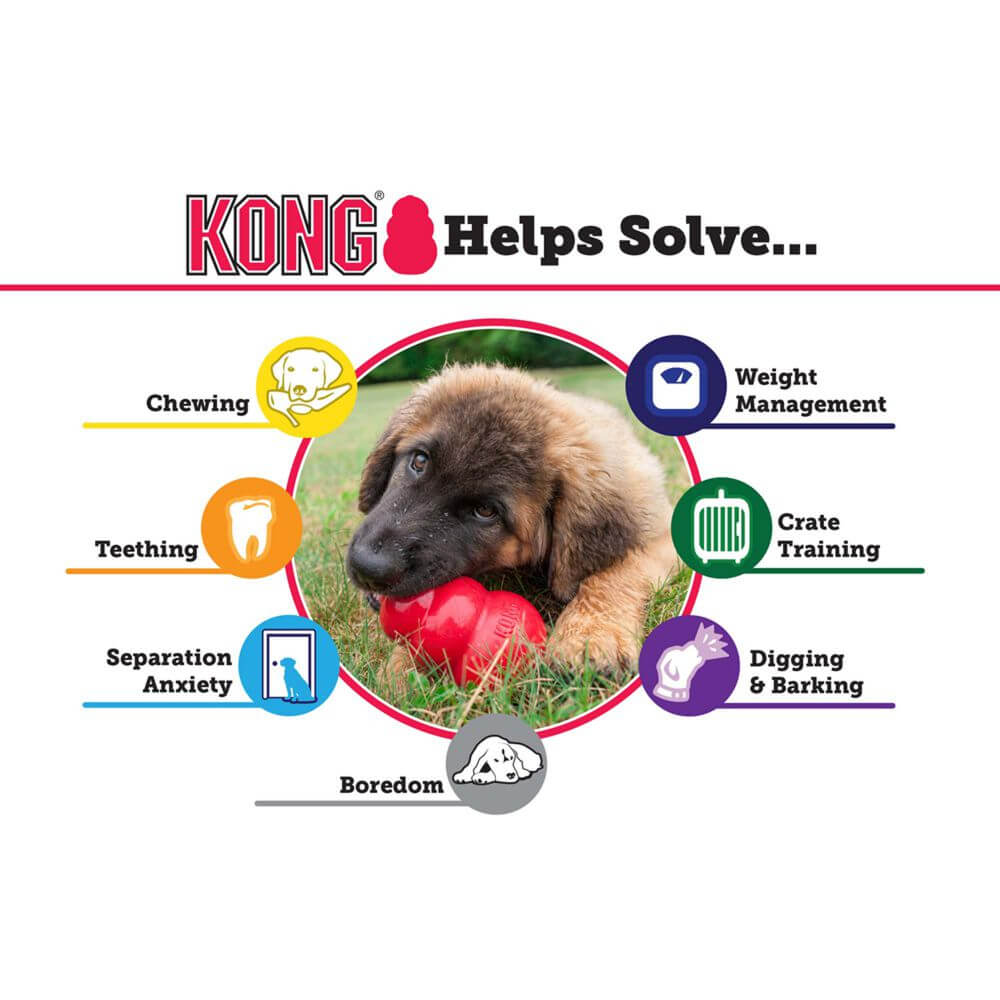 KONG - Dog Toy